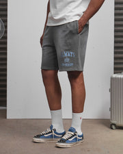 AOS Omega Washed Shorts Grey