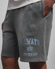 AOS Omega Washed Shorts Grey