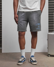 AOS Omega Washed Shorts Grey
