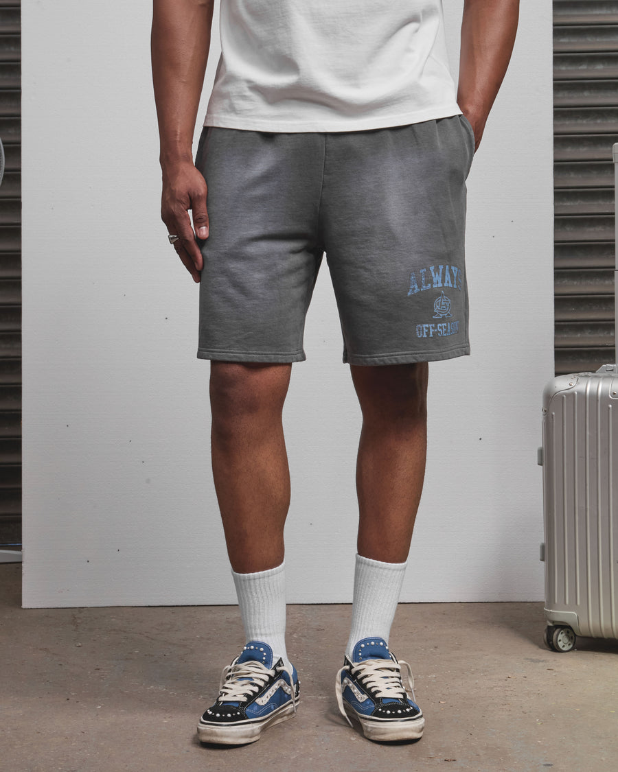 AOS Omega Washed Shorts Grey