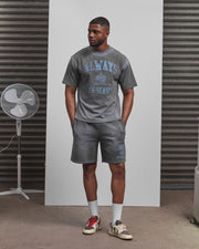 AOS Omega Washed T-Shirt Grey