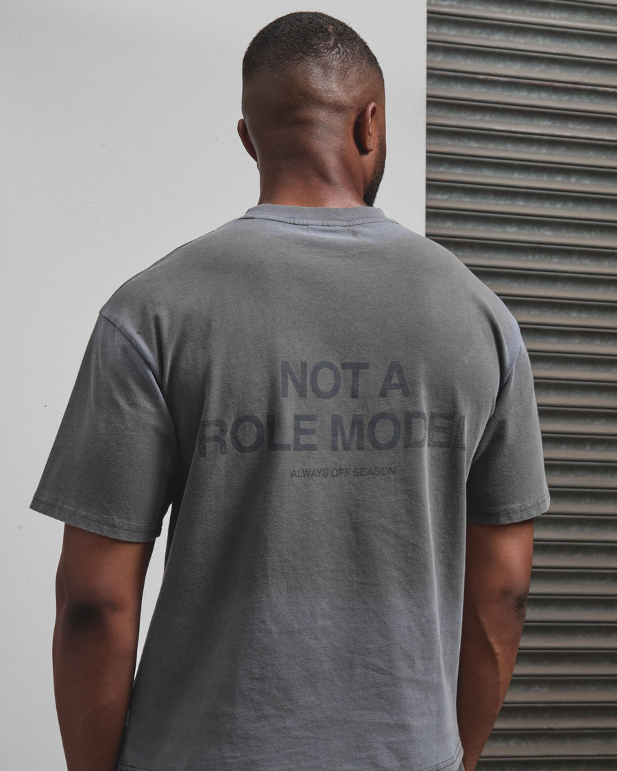 AOS Omega Washed T-Shirt Grey