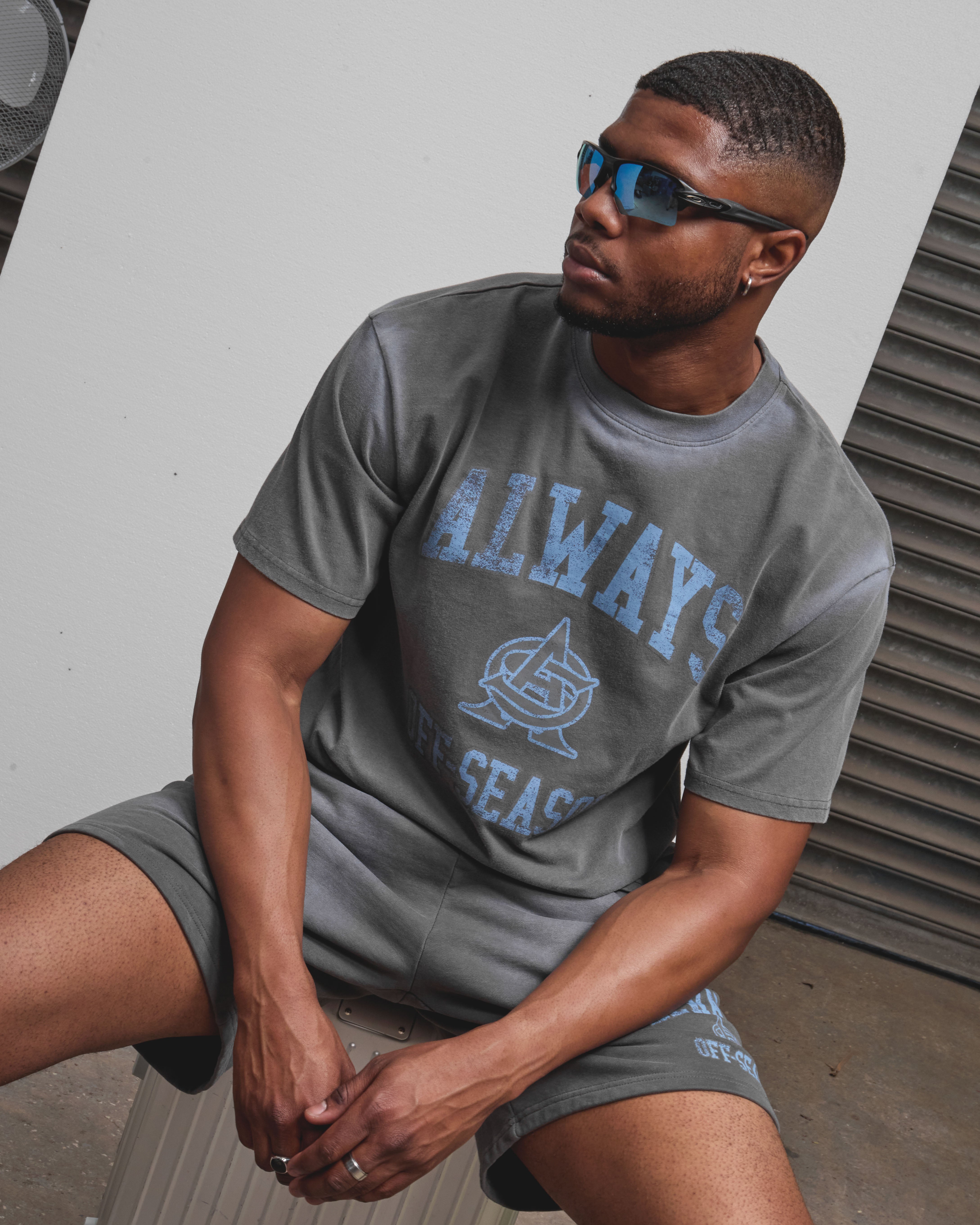 AOS Omega Washed T-Shirt Grey