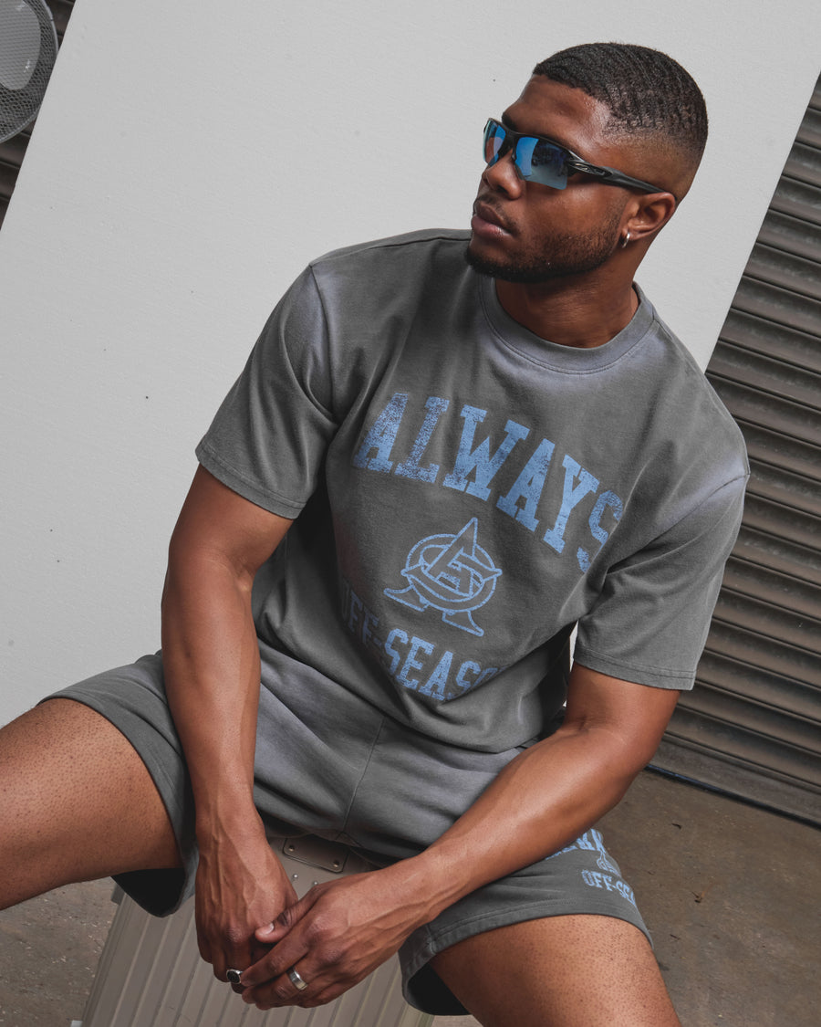 AOS Omega Washed T-Shirt Grey