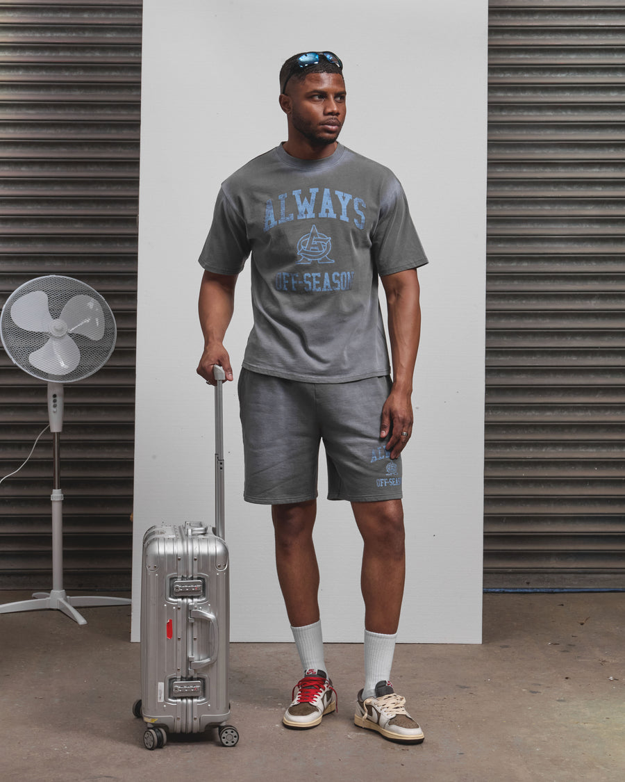 AOS Omega Washed T-Shirt Grey