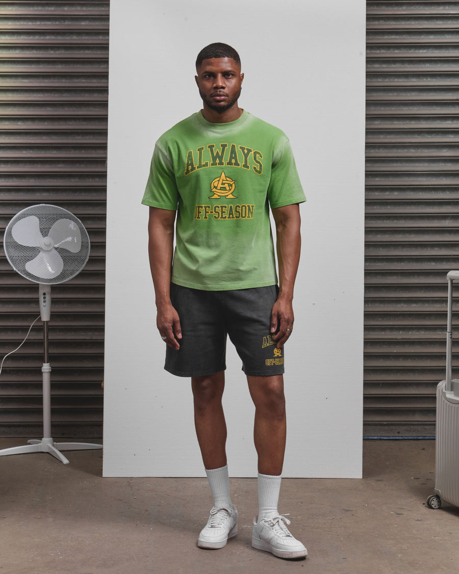 AOS Omega Washed T-Shirt Green