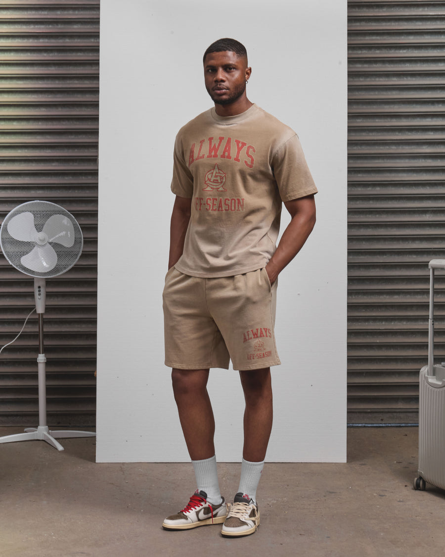 AOS Omega Washed T-Shirt Stone