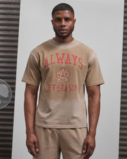 AOS Omega Washed T-Shirt Stone