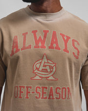 AOS Omega Washed T-Shirt Stone
