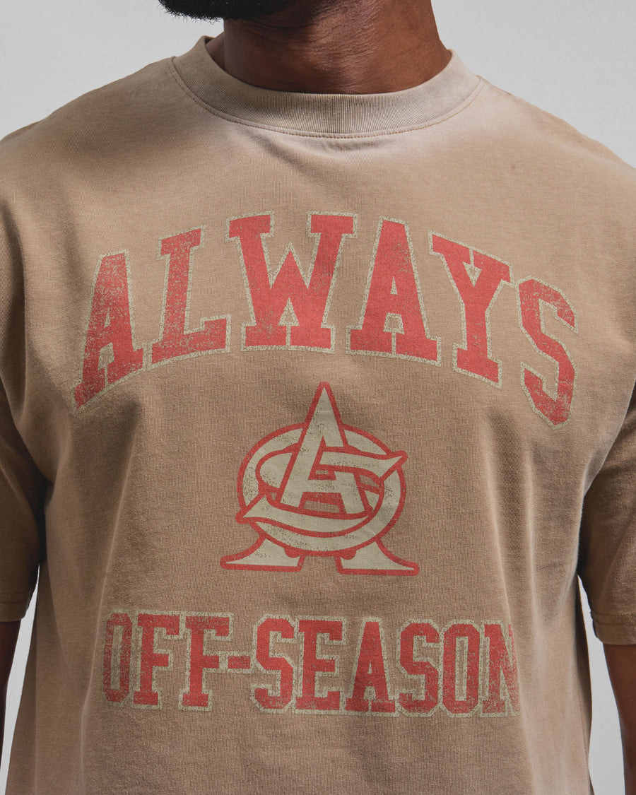 AOS Omega Washed T-Shirt Stone
