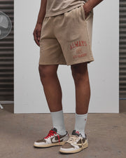 AOS Omega Washed Shorts Stone