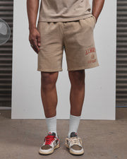 AOS Omega Washed Shorts Stone