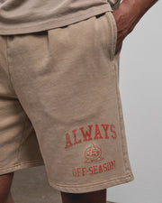 AOS Omega Washed Shorts Stone