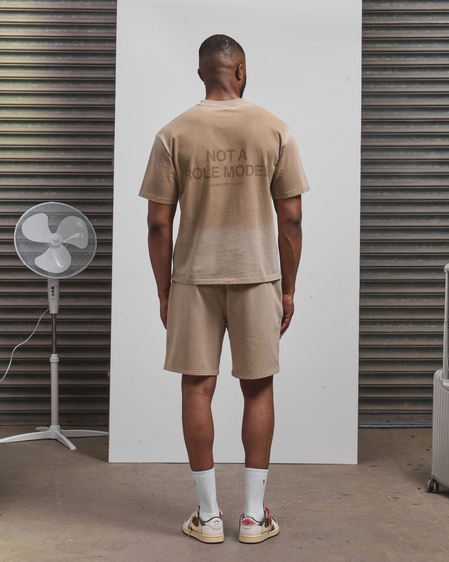AOS Omega Washed T-Shirt Stone