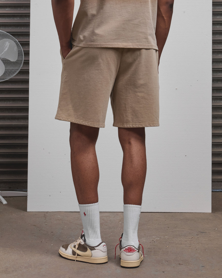 AOS Omega Washed Shorts Stone