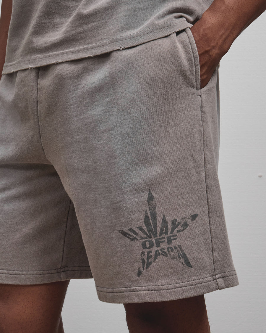 AOS All Star Washed Shorts Grey