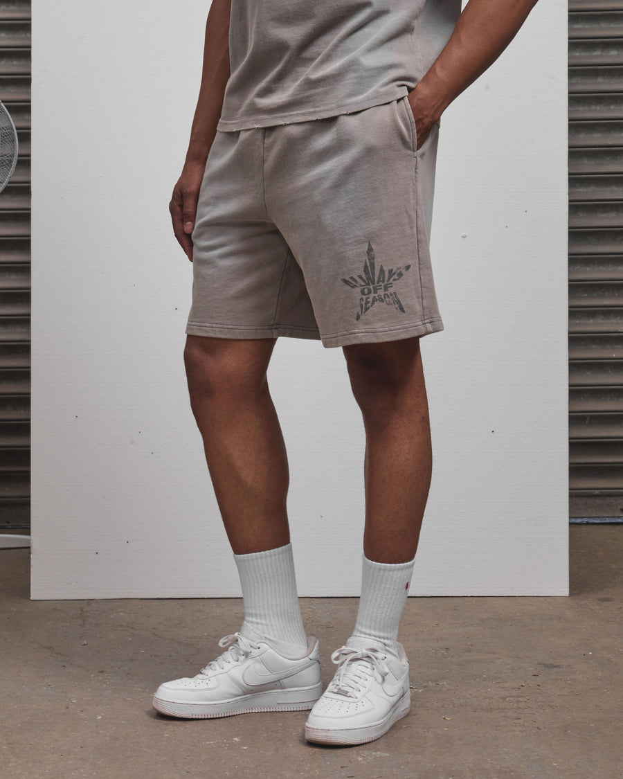 AOS All Star Washed Shorts Grey