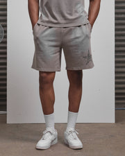 AOS All Star Washed Shorts Grey