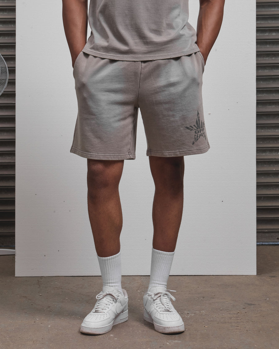 AOS All Star Washed Shorts Grey